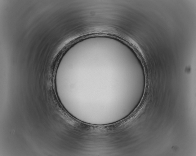 X0000091581019200708201009
