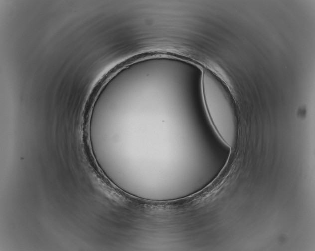 X0000091581020200708201009