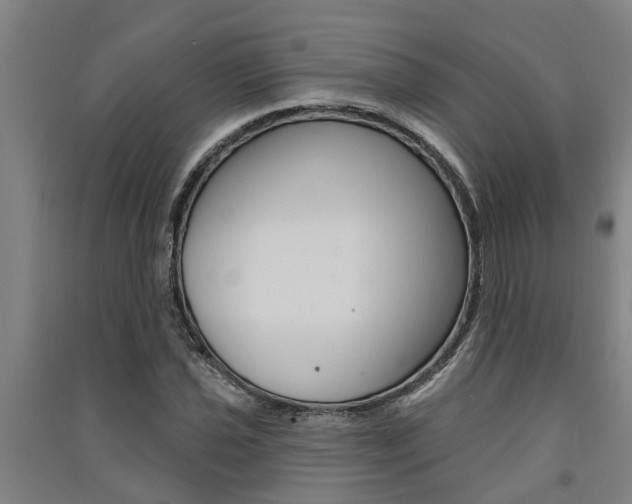 X0000091581021200708201009