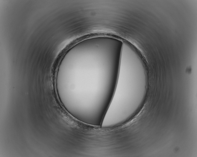 X0000091581022200708201009