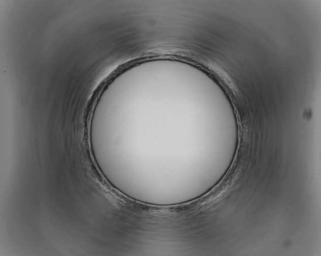 X0000091581023200708201009