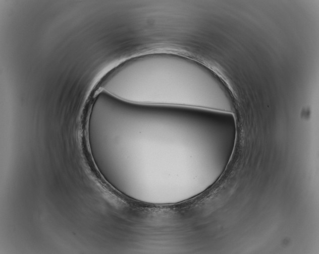X0000091581024200708201009