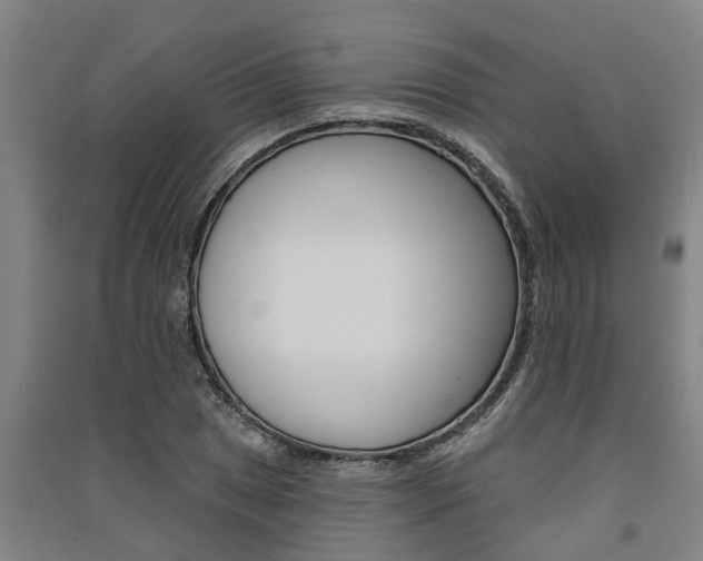X0000091581025200708201009