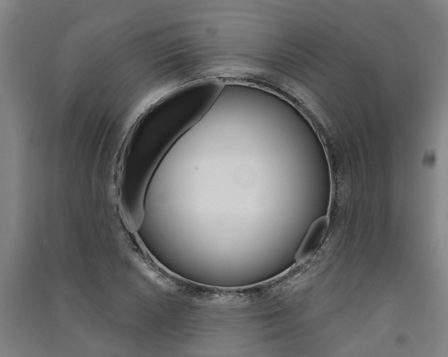 X0000091581026200708201009