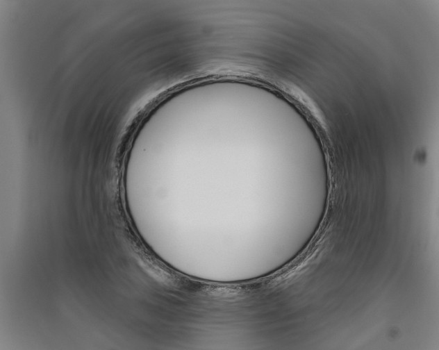 X0000091581027200708201009