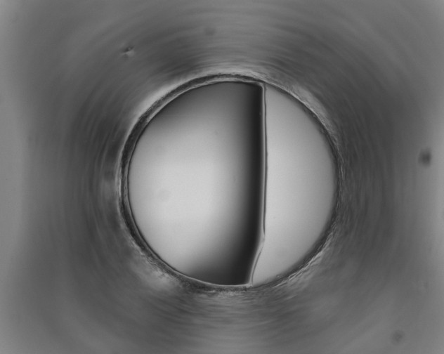 X0000091581028200708201009