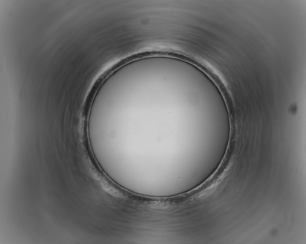 X0000091581029200708201009