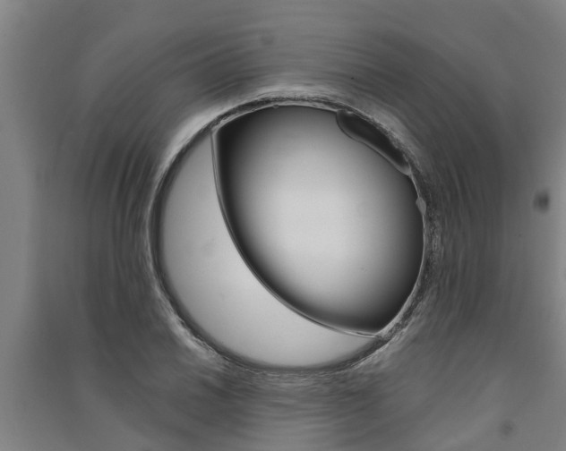 X0000091581030200708201009