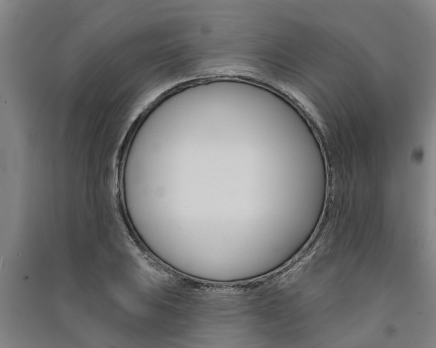 X0000091581031200708201009