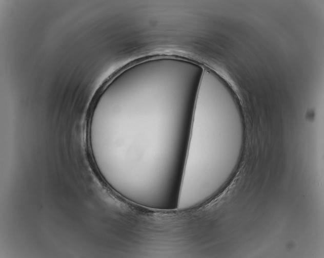 X0000091581032200708201009