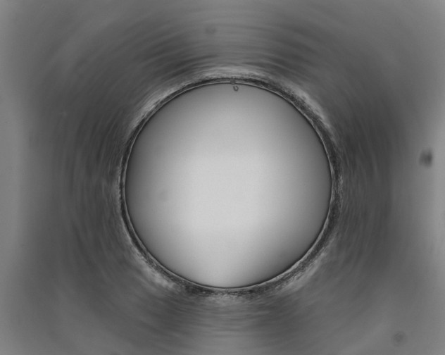 X0000091581033200708201009