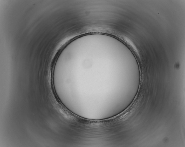 X0000091581035200708201009