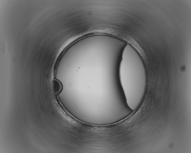 X0000091581036200708201009