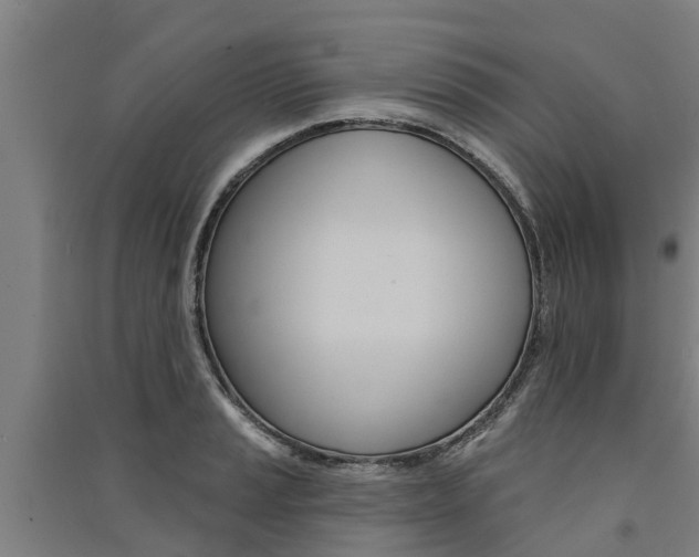 X0000091581037200708201009