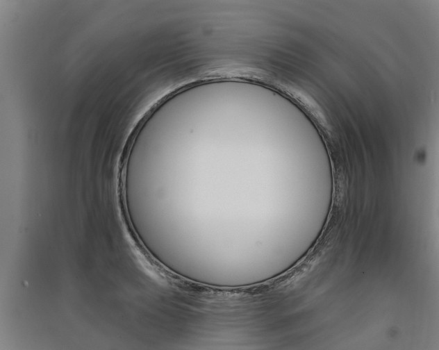 X0000091581039200708201009