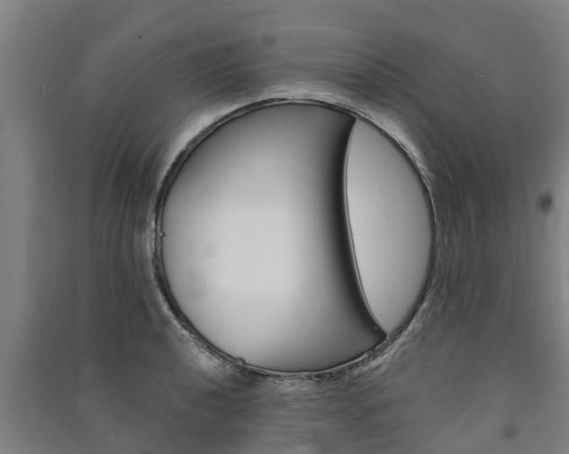 X0000091581040200708201009