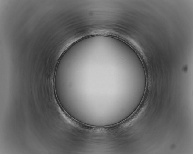 X0000091581041200708201009