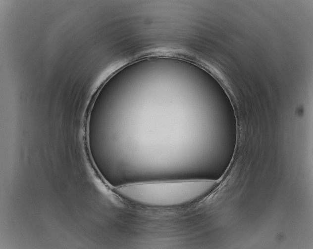 X0000091581042200708201009