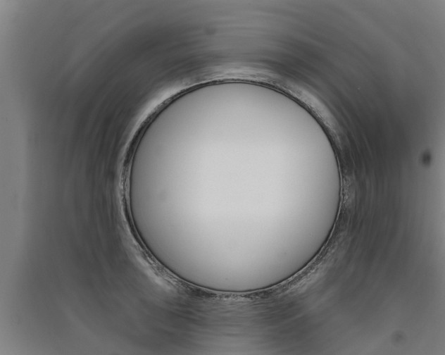 X0000091581043200708201009