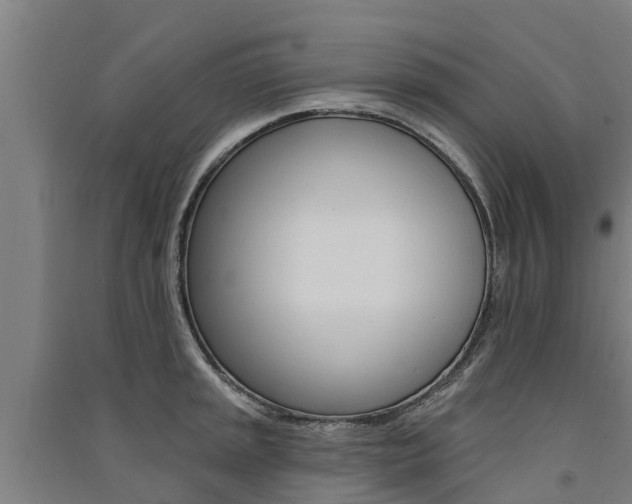 X0000091581045200708201009