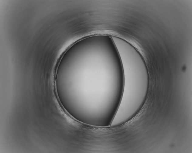 X0000091581046200708201009