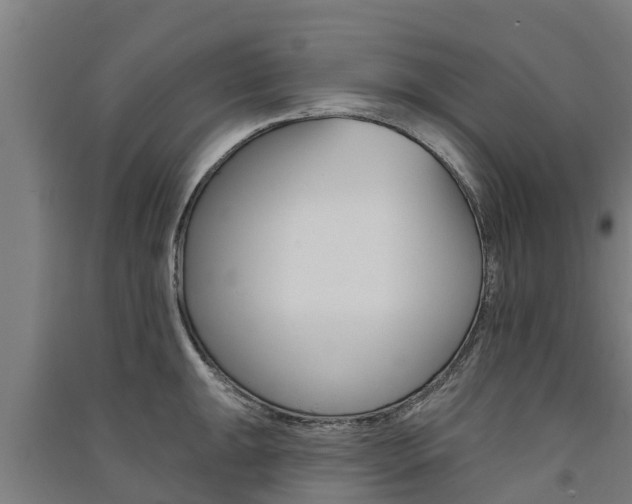 X0000091581047200708201009
