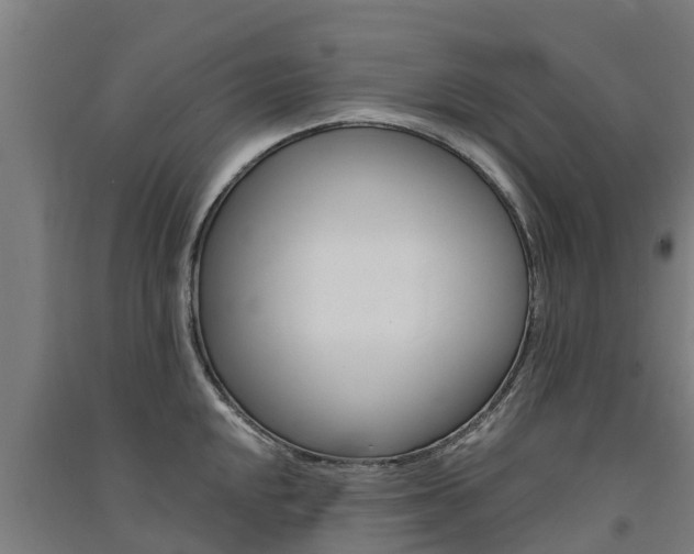 X0000091581048200708201009