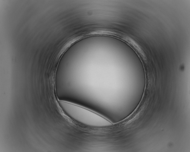 X0000091581049200708201009
