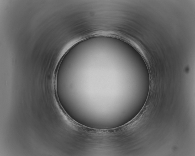 X0000091581050200708201009