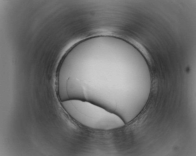 X0000091581051200708201009