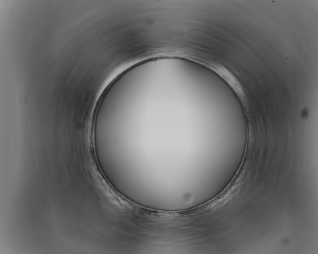 X0000091581052200708201009