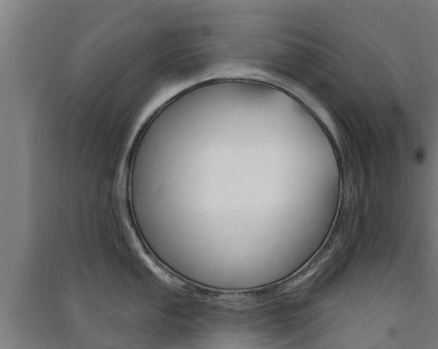X0000091581053200708201009