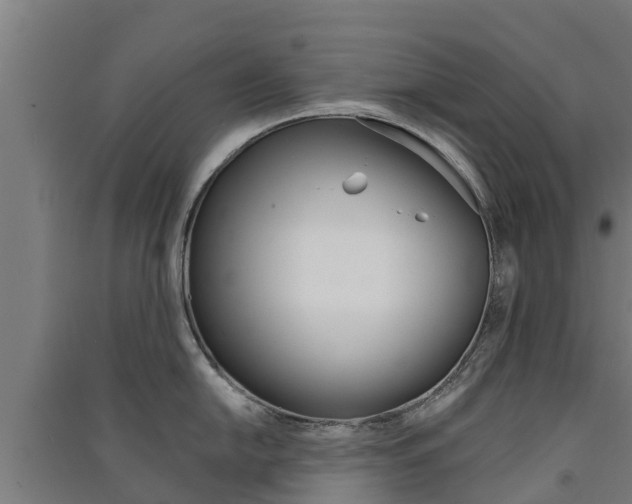 X0000091581054200708201009