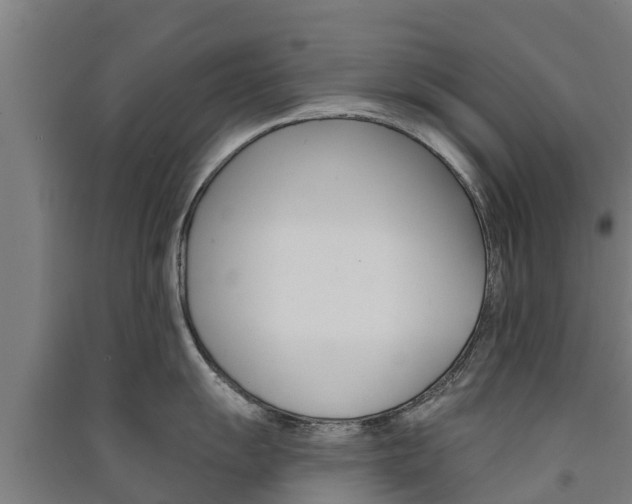 X0000091581055200708201009