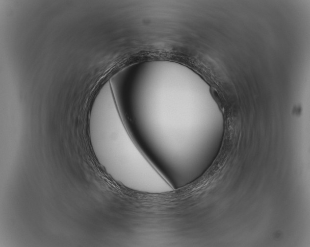 X0000091581057200708201008