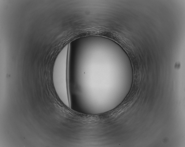X0000091581058200708201008