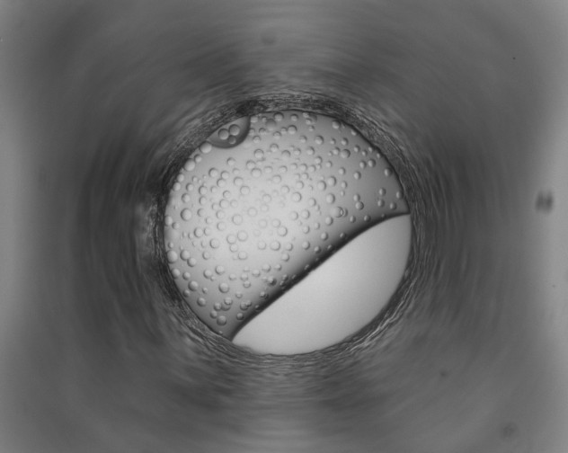 X0000091581059200708201008