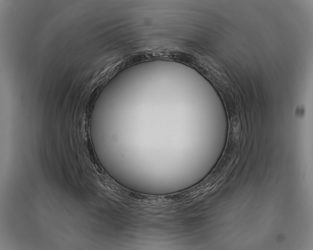 X0000091581060200708201008