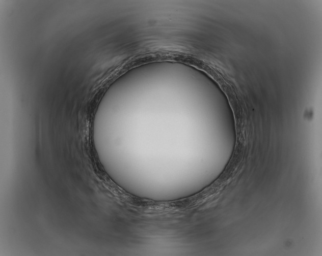 X0000091581061200708201008