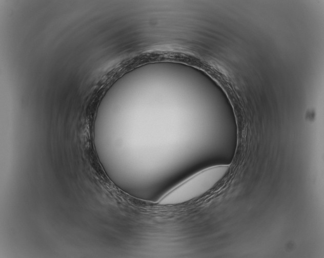 X0000091581062200708201008