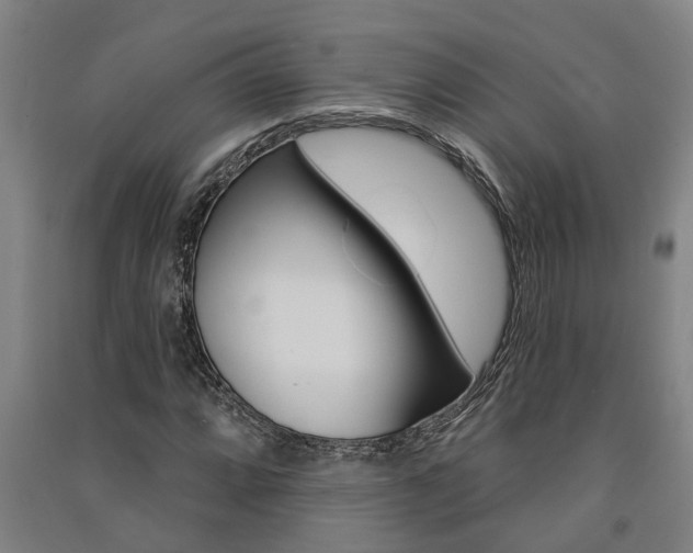 X0000091581064200708201008