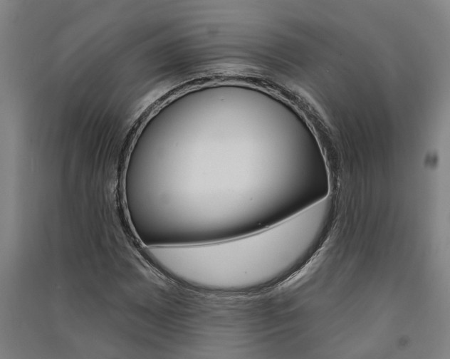 X0000091581065200708201008