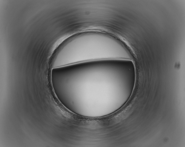 X0000091581066200708201008