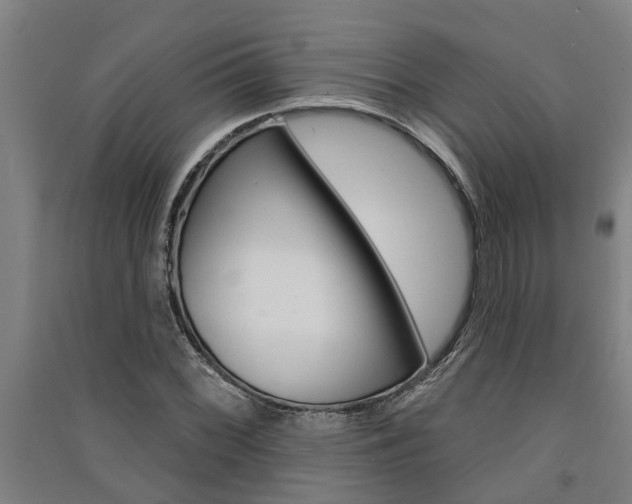 X0000091581068200708201008