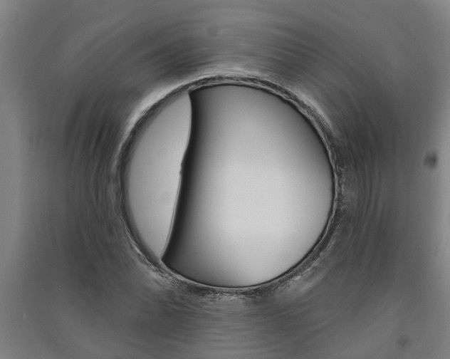 X0000091581070200708201008