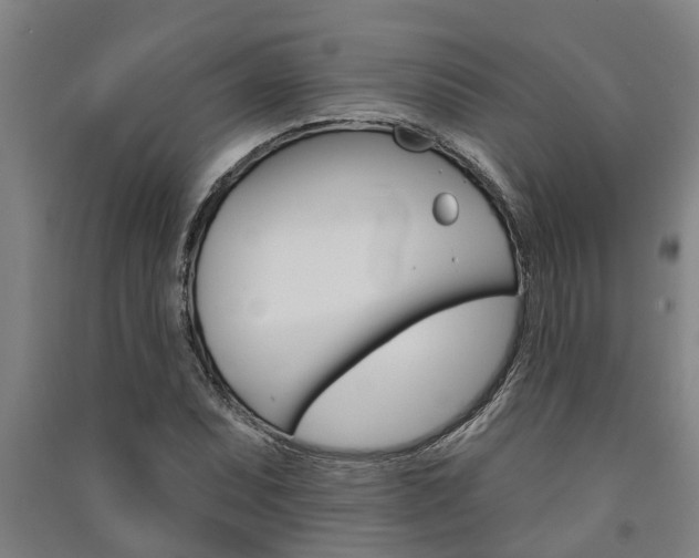 X0000091581071200708201008