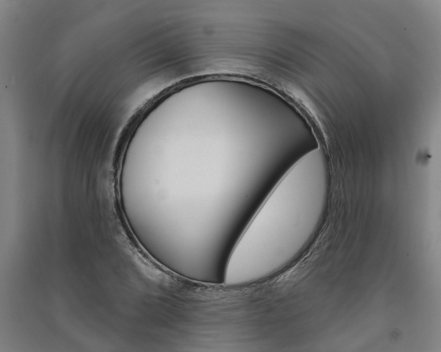 X0000091581072200708201008