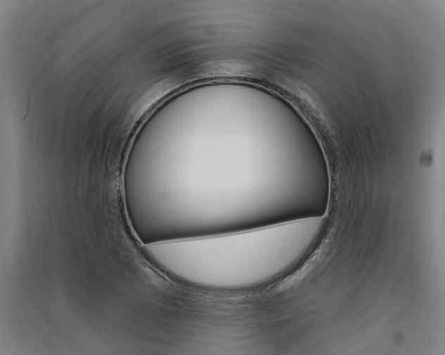 X0000091581073200708201008
