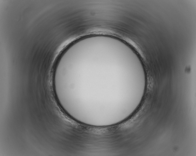X0000091581074200708201008