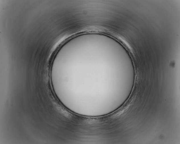 X0000091581075200708201008